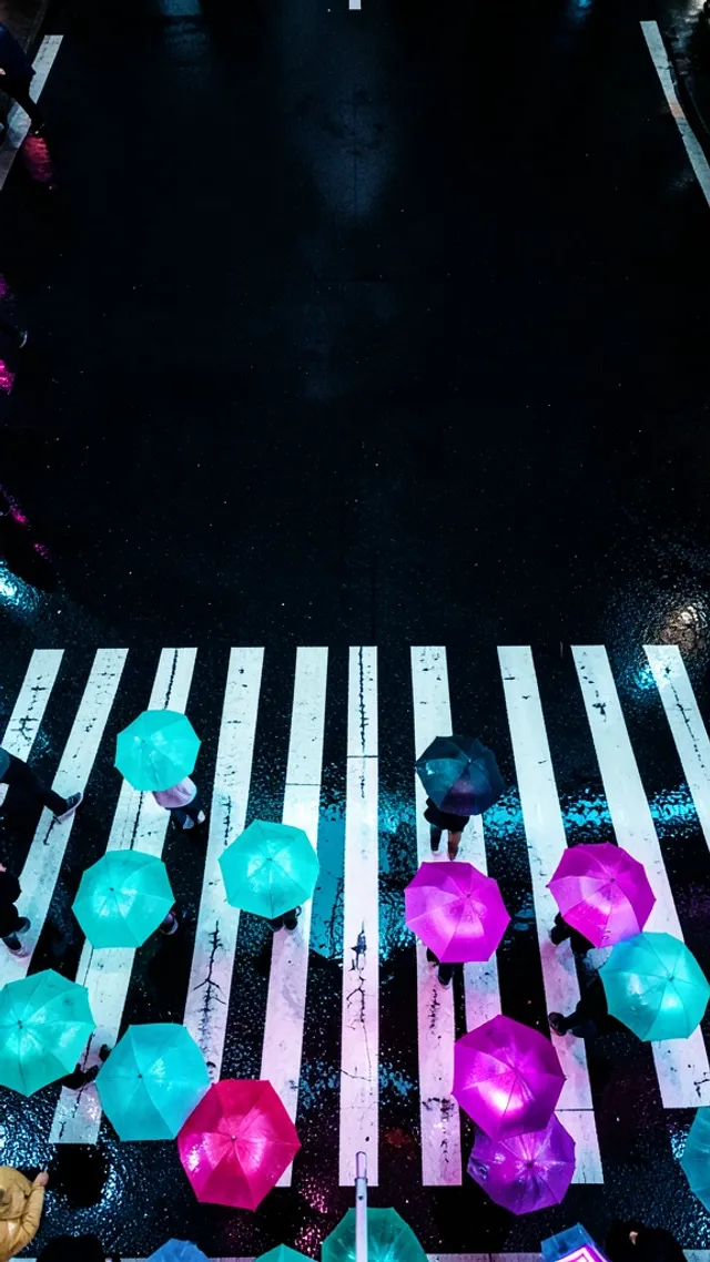 A rainy neon crosswalk seen from above with umbrellas
